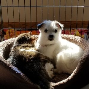 Meet your Posher, Sue